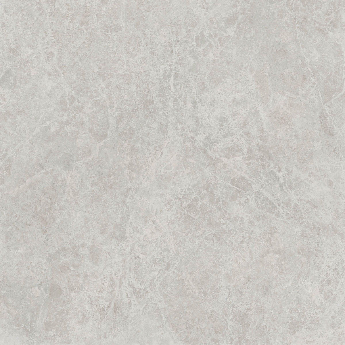 Керамический гранит  ERA DELIC. ASH NAT R120X120 арт. 126263