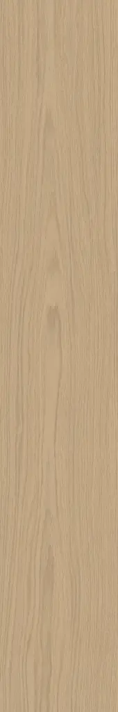 PURE SHEER 20X120 R10-9MM арт. 73953