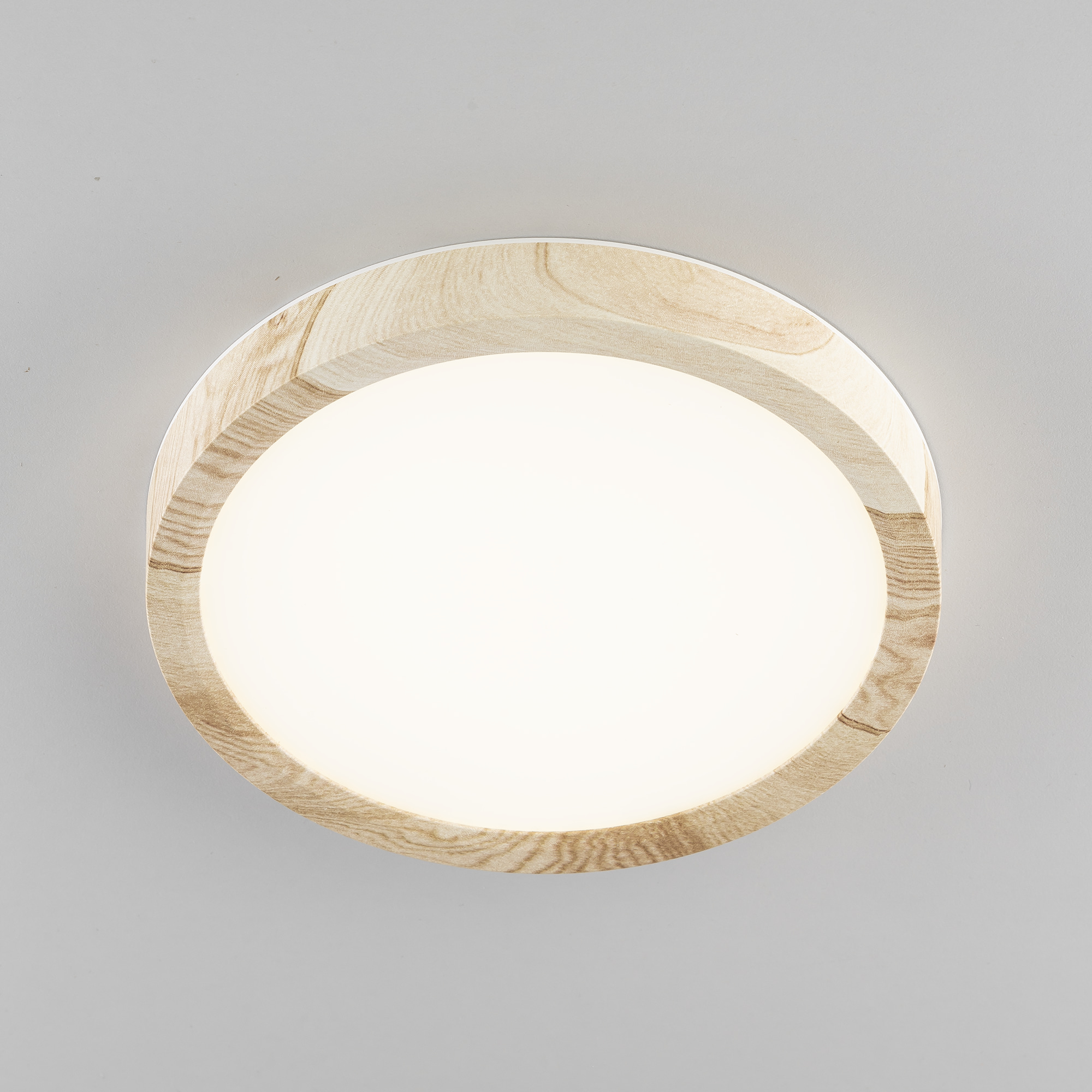 Citilux Бейсик CL738122N LED Светильник накладной Клён арт. 89192