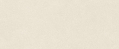 Boost Natural Pro Salt 50x120