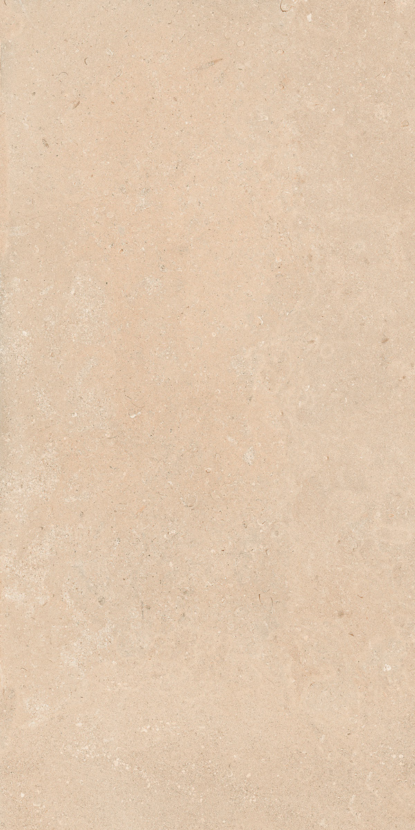 Керамогранит AUTHENTIC DORDOGNE CANNETE 60x120 RET арт. 86044