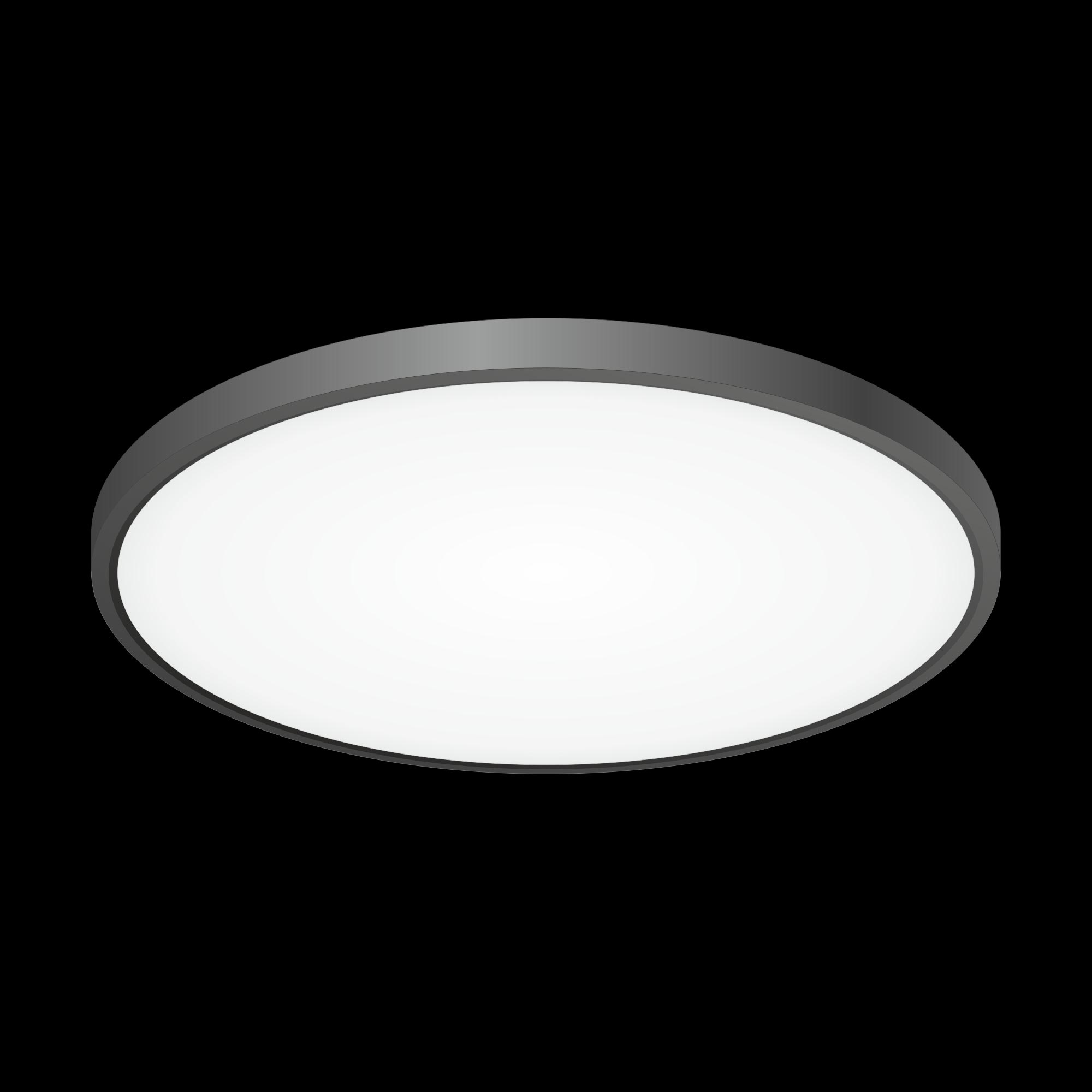 Citilux Бейсик CL738401V Светильник накладной Чёрный арт. 88461
