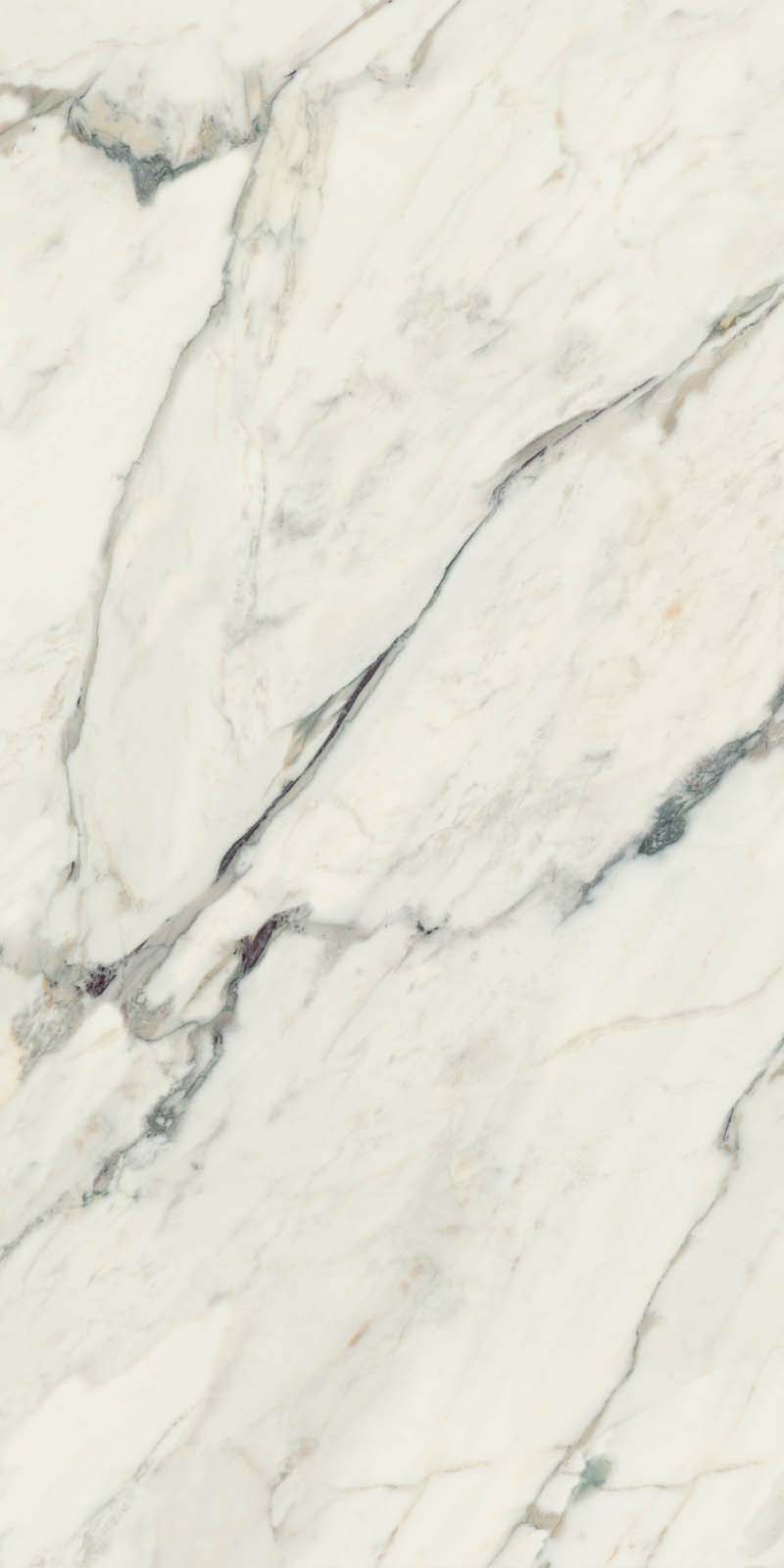 CANOVA BRECCIA CAPRAIA LAP RET 60x120  8,5 мм