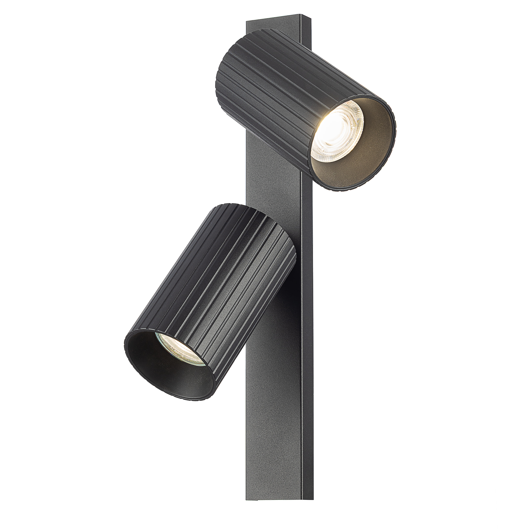 Citilux AXEL CL512521R Спот поворотный двойной Чёрный Рифлёный арт. 129438
