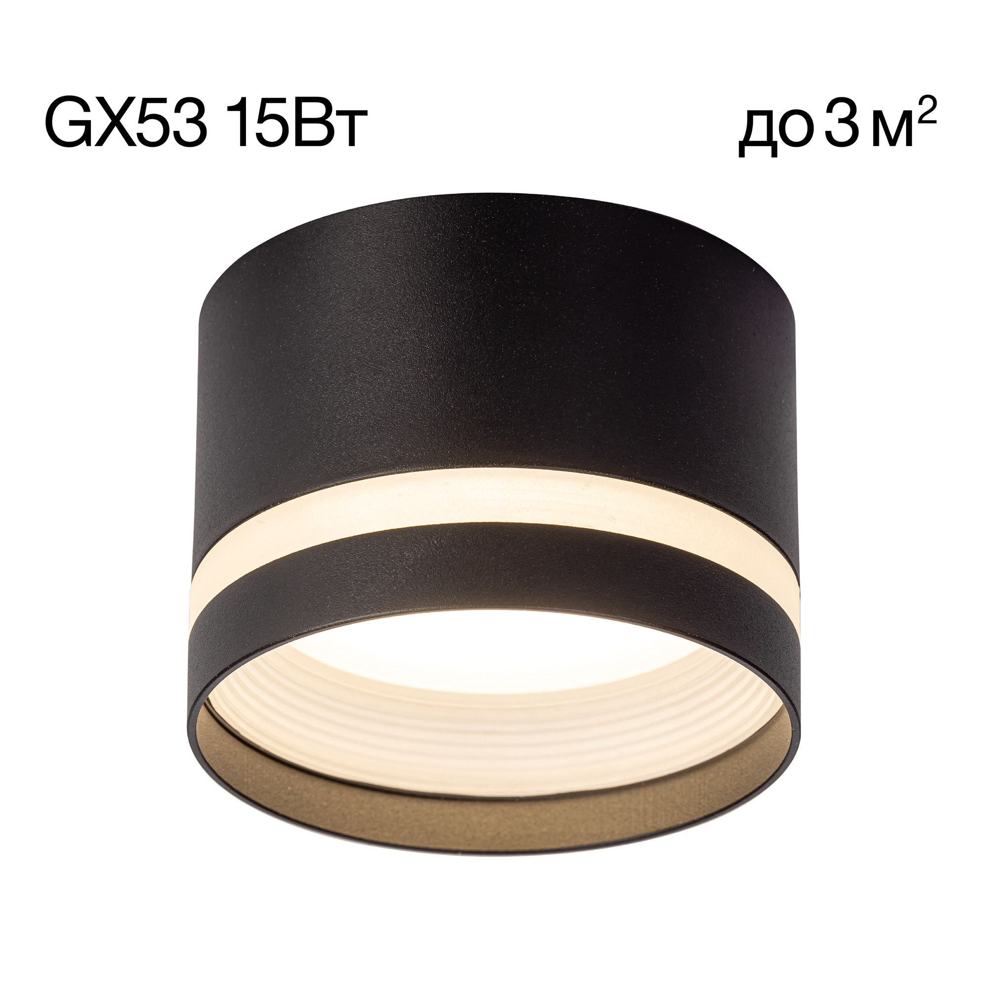 Citilux Hardy CL002C11 Светильник накладной Чёрный арт. 89323