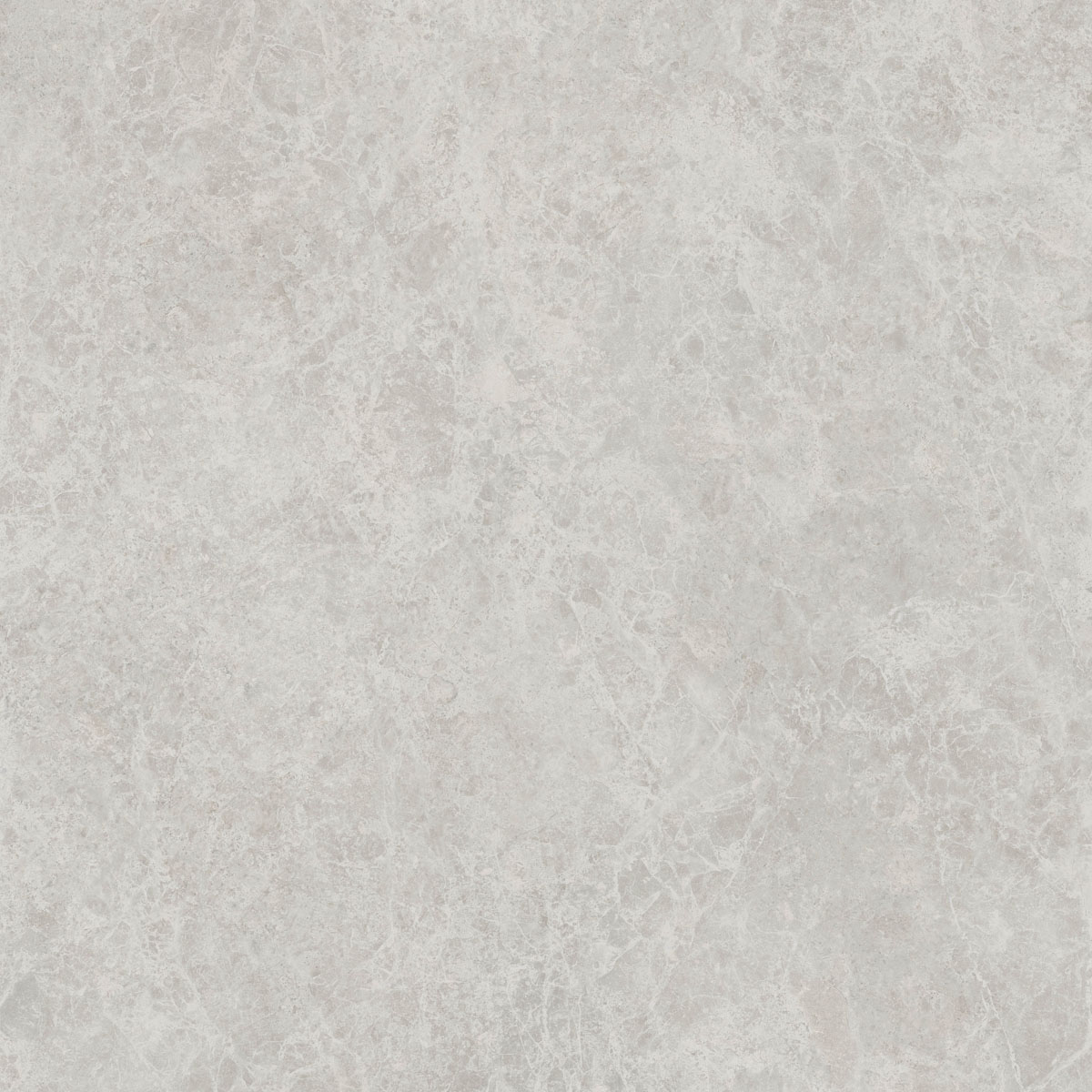 Керамический гранит  ERA DELIC. ASH NAT R120X120 арт. 126263