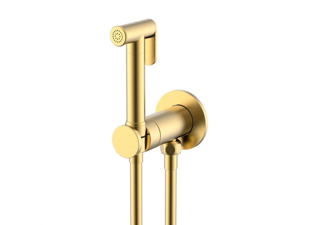 NEMO ROUND Гигиенический душ с прогрессивным картриджем, BRUSH GOLD арт. 39757