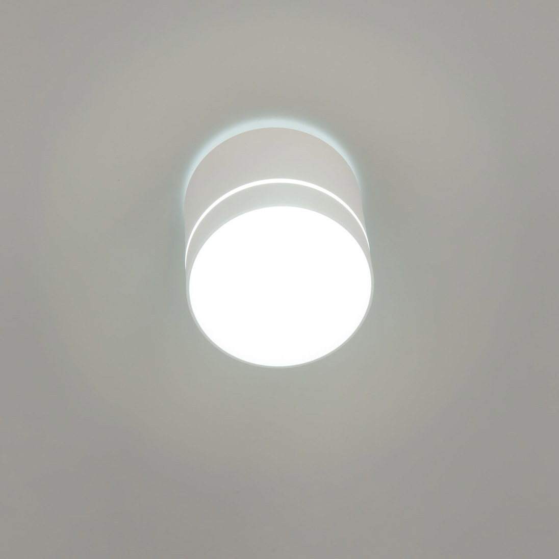 Citilux Борн CL745020N LED Светильник накладной Белый арт. 88671
