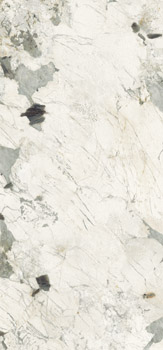 PAT WH6 278 LP 120x278