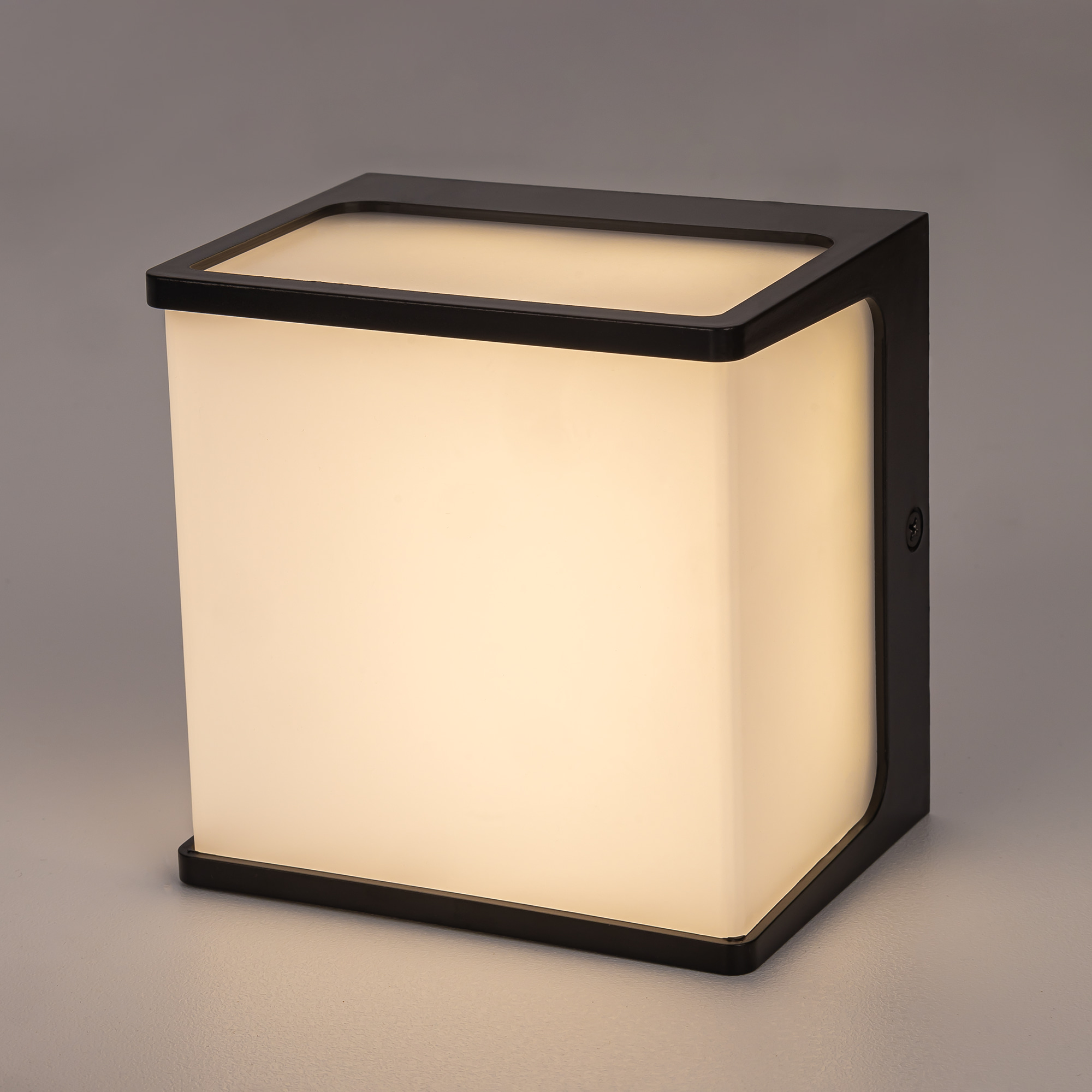 Citilux DOMUS CLU0801 LED Уличный настенный светильник Чёрный арт. 89362
