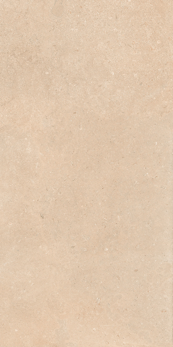 Керамогранит AUTHENTIC LUX ST DORD MATL 60X120 6MM арт. 85997