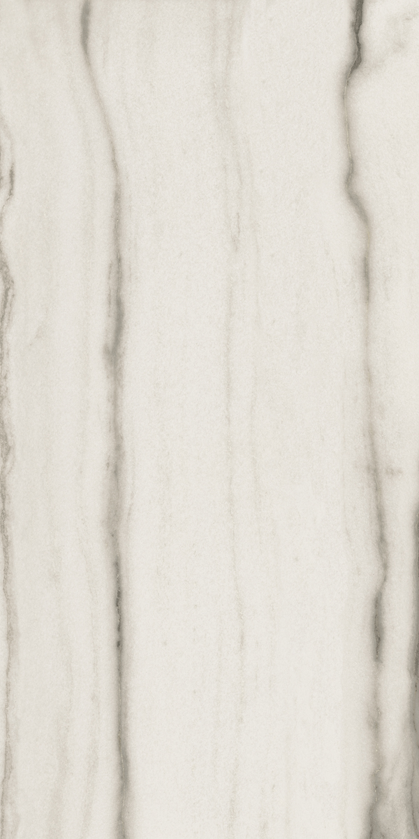 Керамогранит PREXIOUS REX WHITE FANTASY MAT 60X120 R арт. 83780