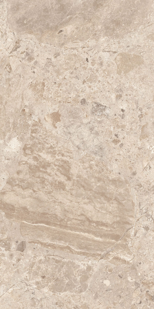 Керамогранит ERA BLOOM. TAUPE NAT R60X120 арт. 126197