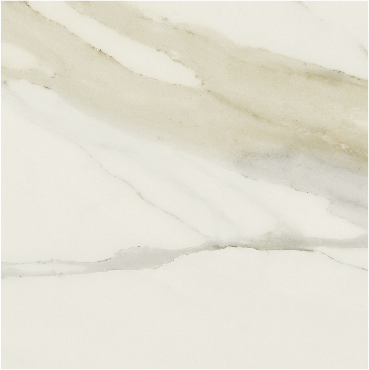 Керамогранит I CLASSICI CAL.GOLD 6MM GLOSSY  120X120 арт. 84841