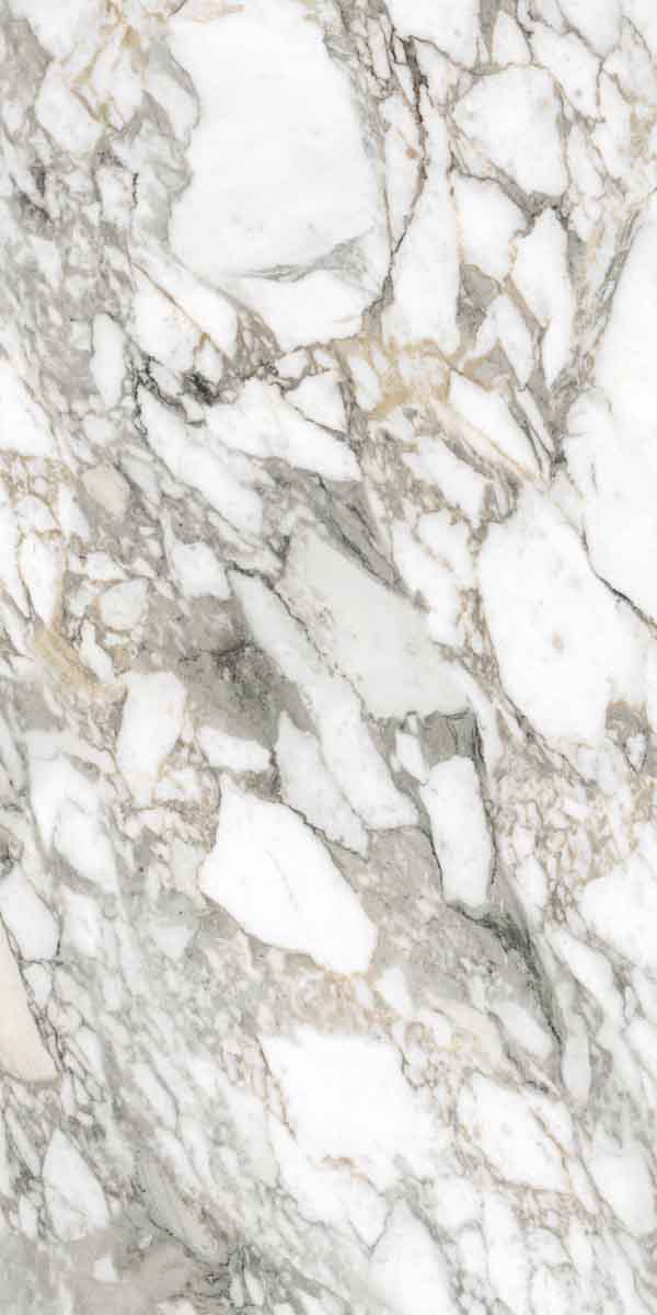 Керамогранит SUPREME MEMORIES BIAN.VAGLI LUX RETT 60X120 арт. 85541