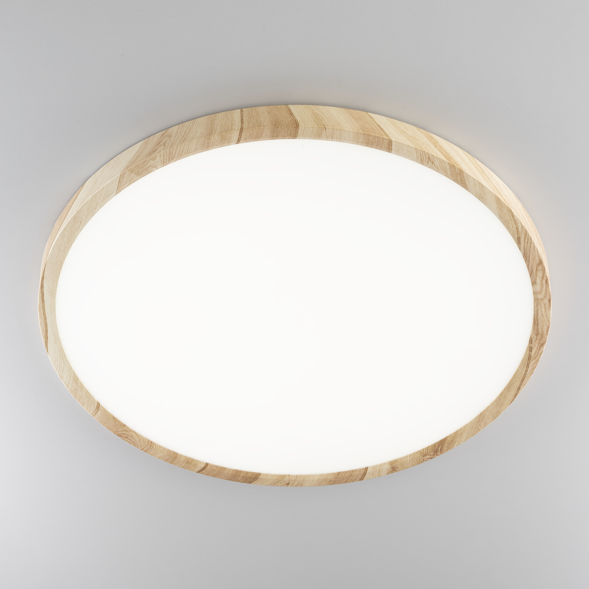 Citilux БейсикCL738322V LED Светильник накладной Клён арт. 89195