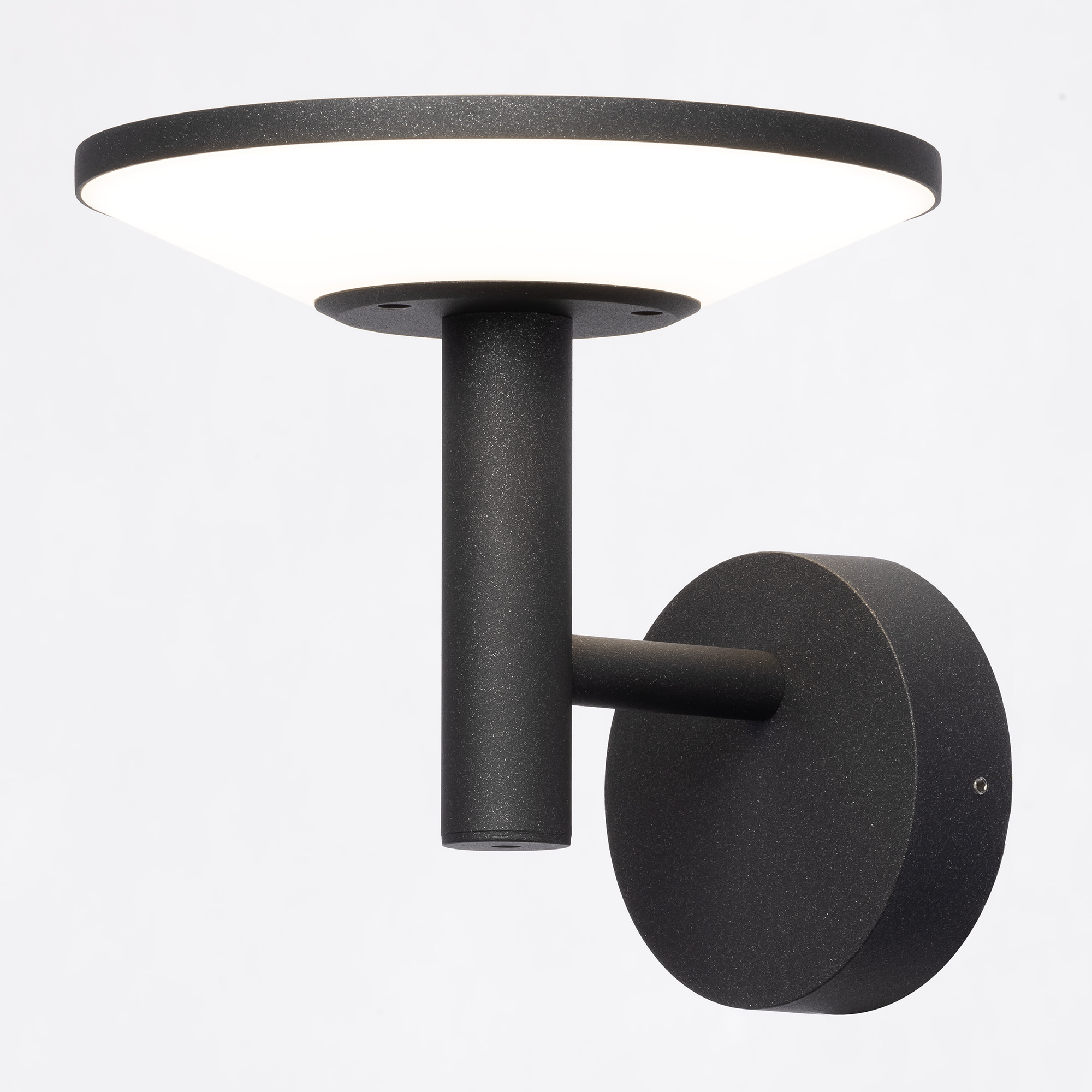 Citilux Dorn CLU05W LED Уличный настенный светильник Графит арт. 89160