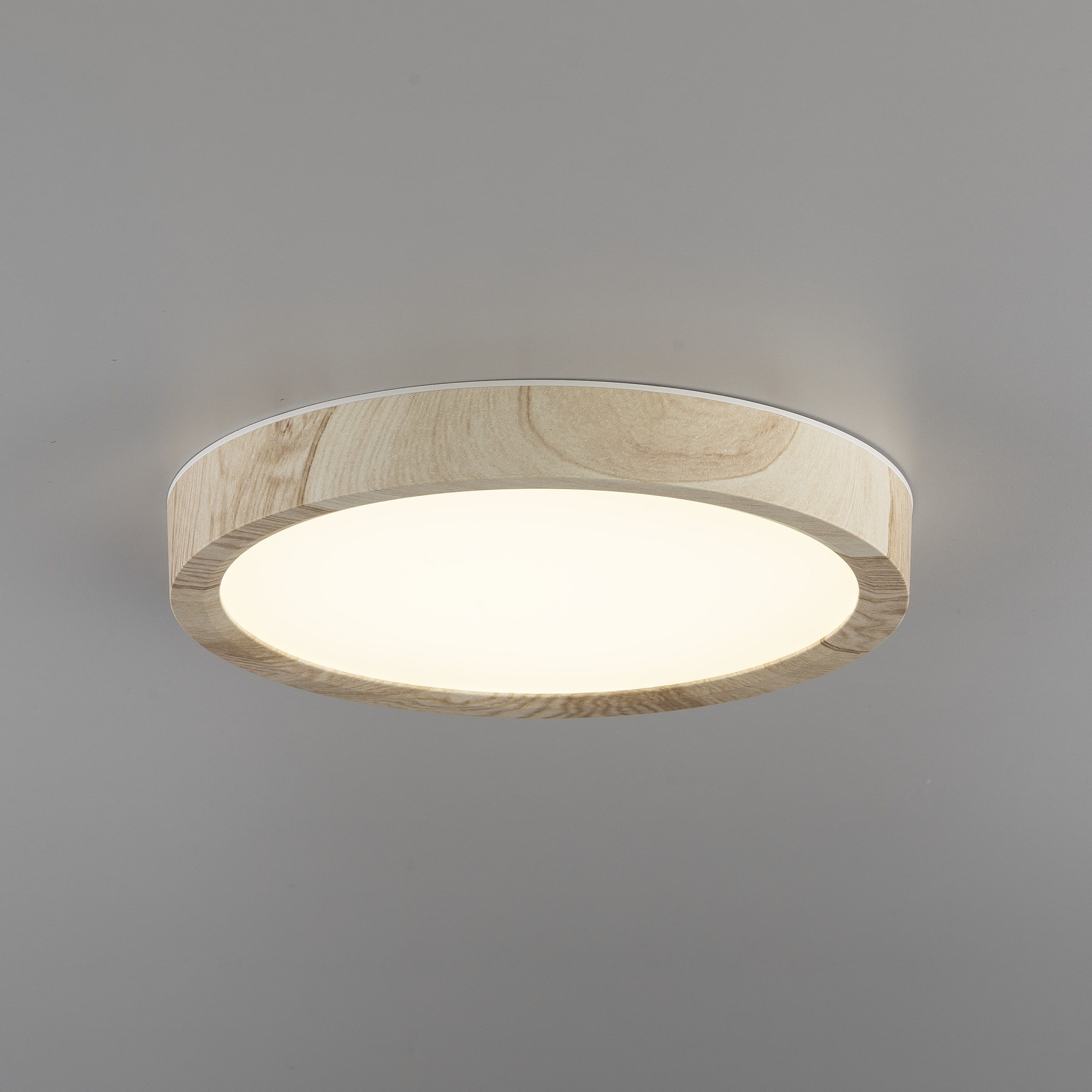 Citilux Бейсик CL738122N LED Светильник накладной Клён арт. 89192