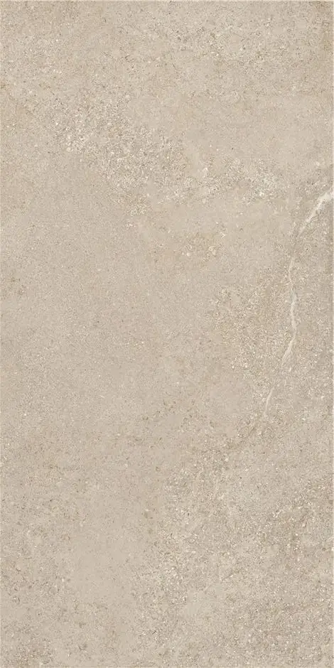 ARENITE NATURAL MT 60X120