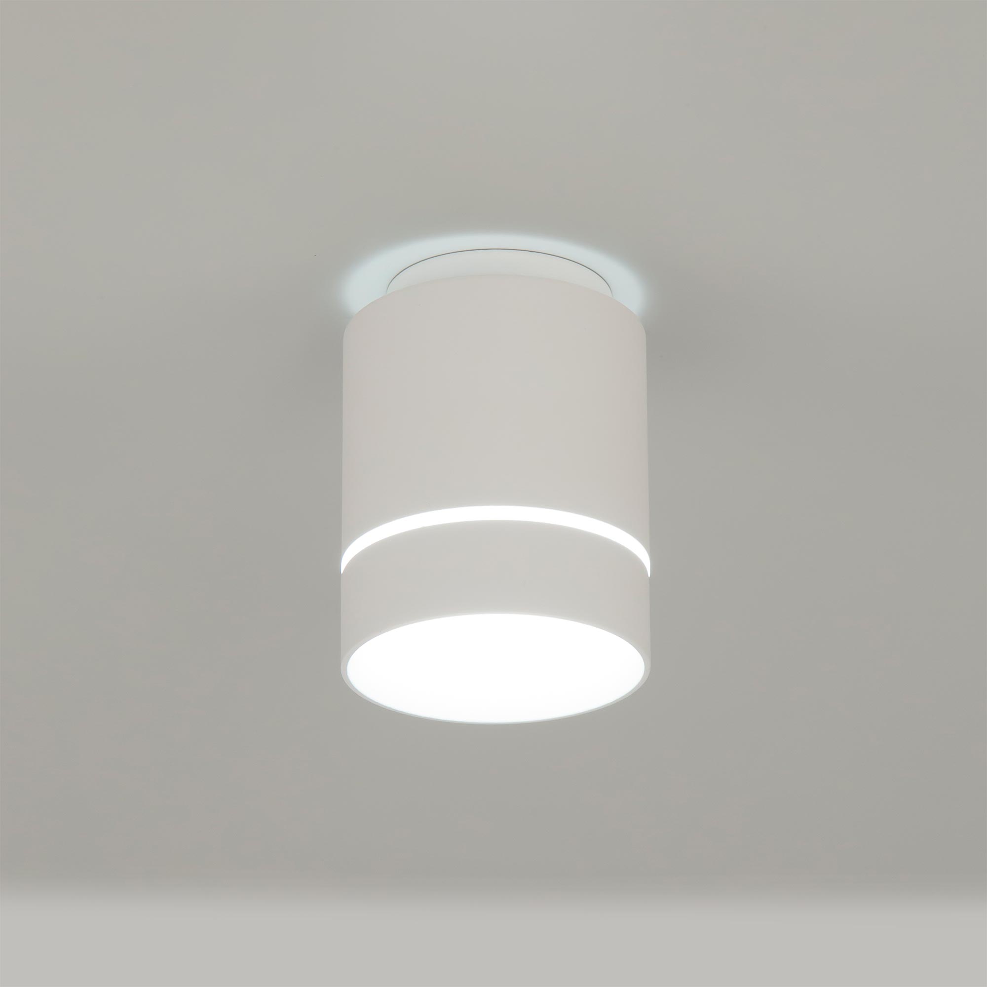 Citilux Борн CL745010N LED Светильник накладной Белый арт. 88669