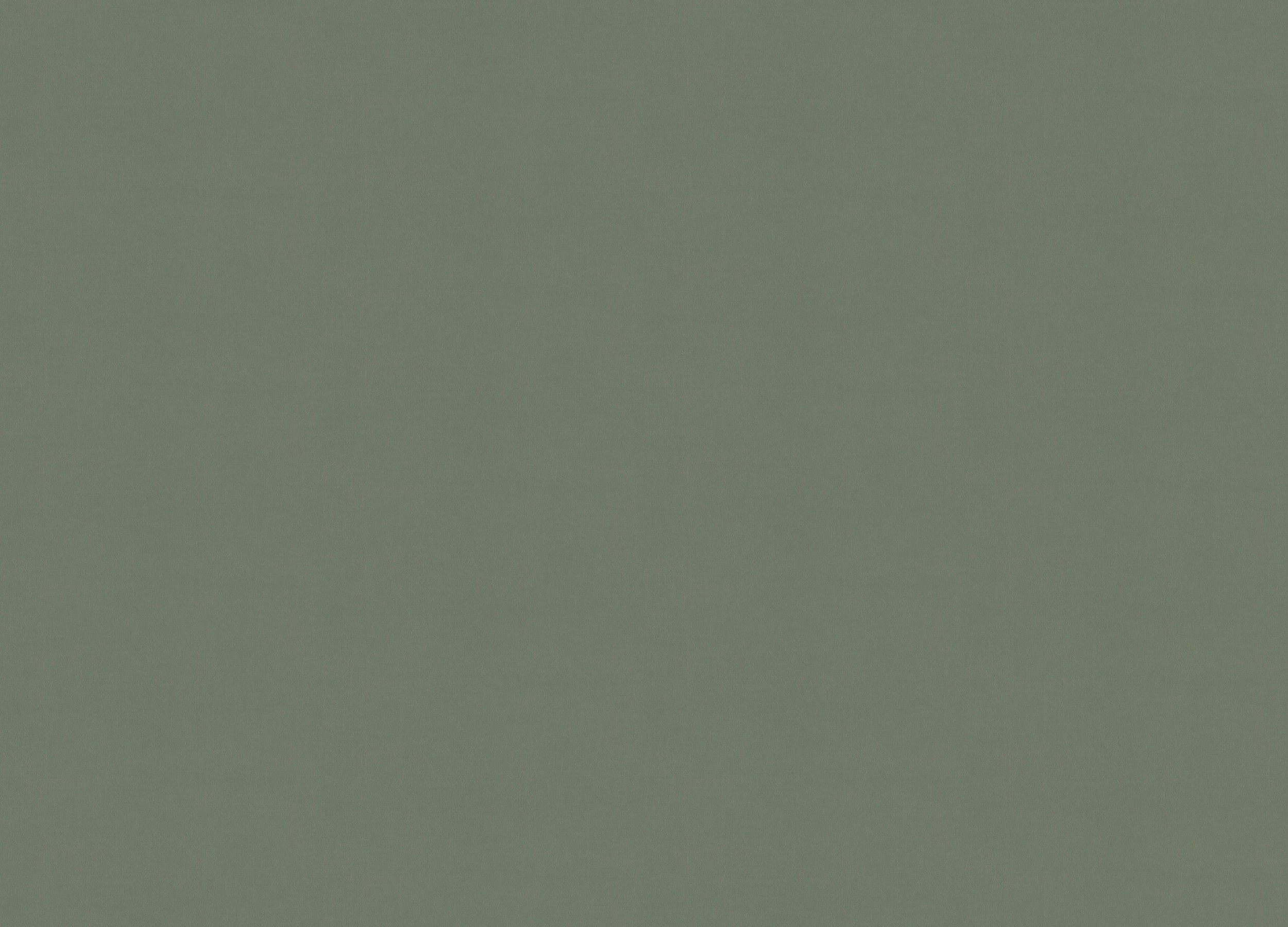 A101218 Обои ARTSIMPLE (1*6) 10,00x1,06 винил на флизелине