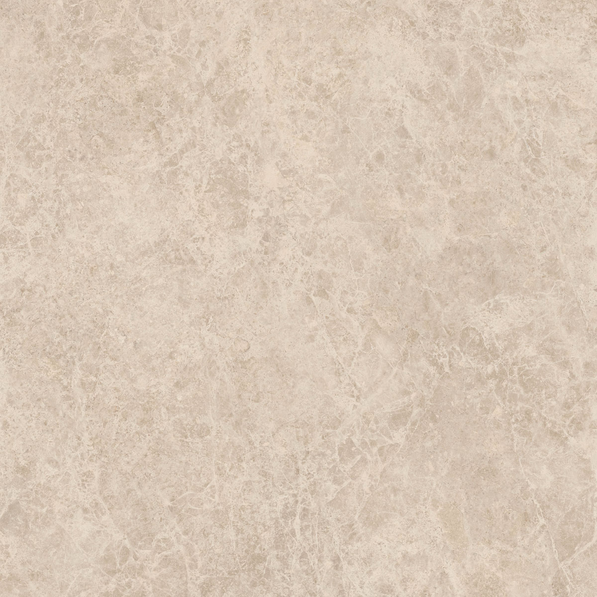 Керамический гранит  ERA DELIC. TAUPE NAT R120X120 арт. 126248