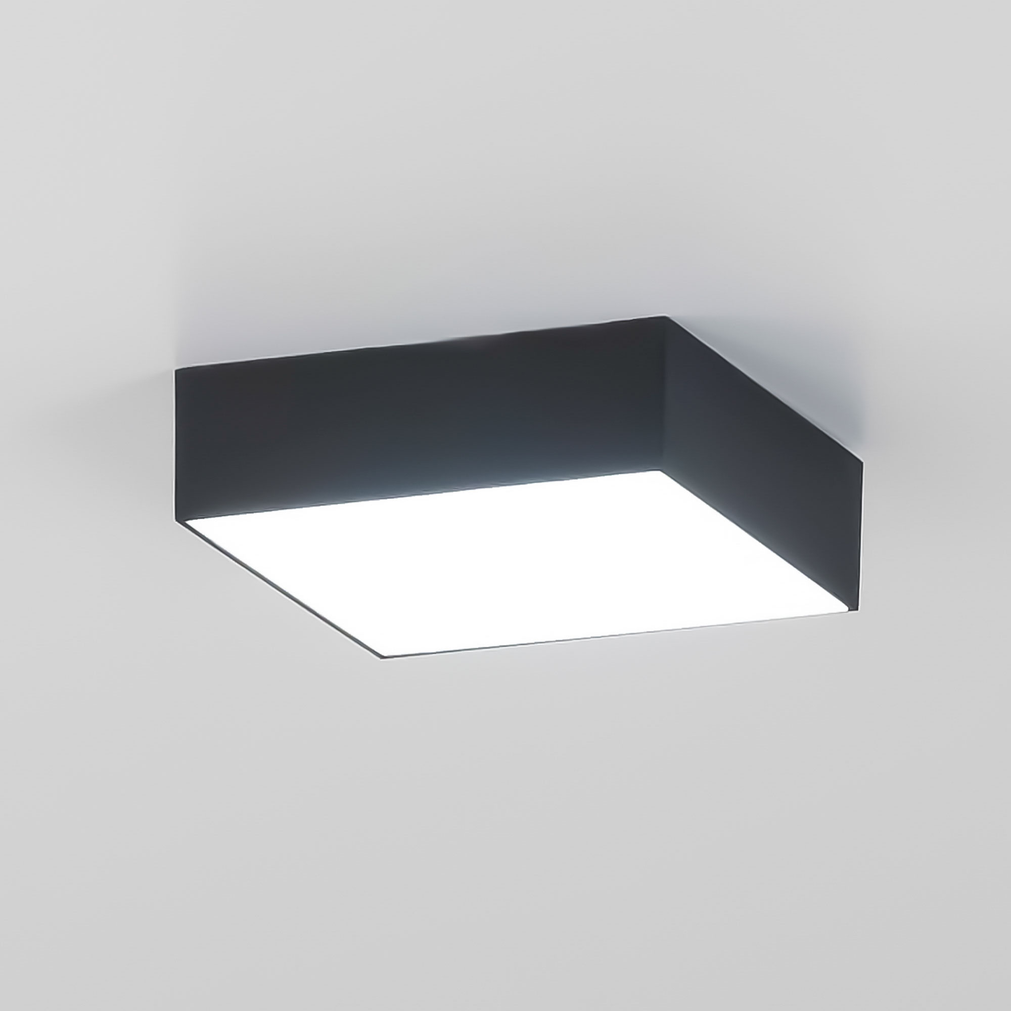Citilux Тао CL712X122N LED Светильник потолочный с диммером Чёрный арт. 88031