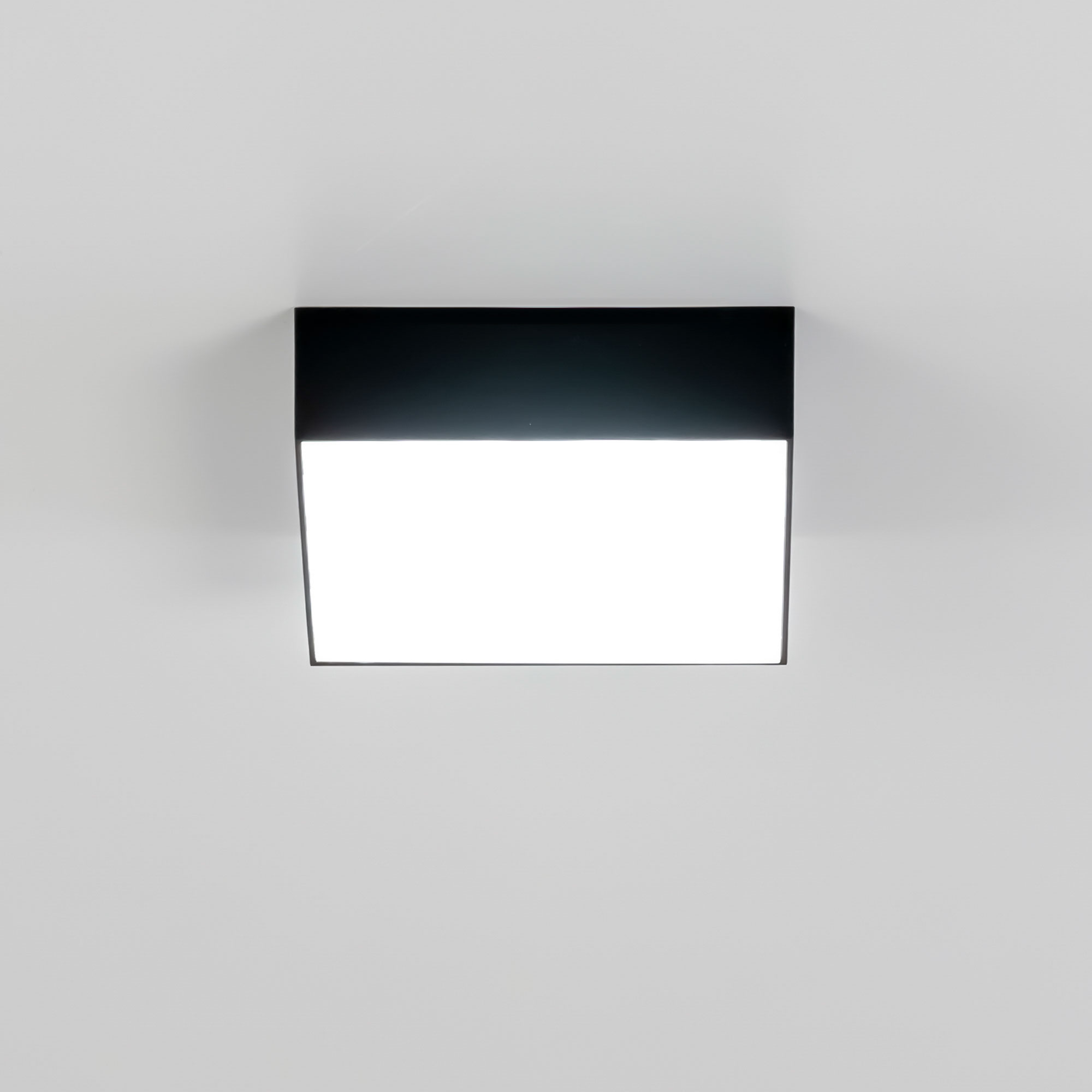 Citilux Тао CL712X122N LED Светильник потолочный с диммером Чёрный арт. 88031