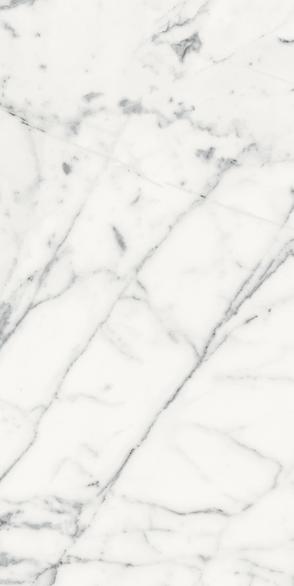 Керамогранит LES ORIGINES DE REX BLANC GLOSSY 60X120 арт. 85055