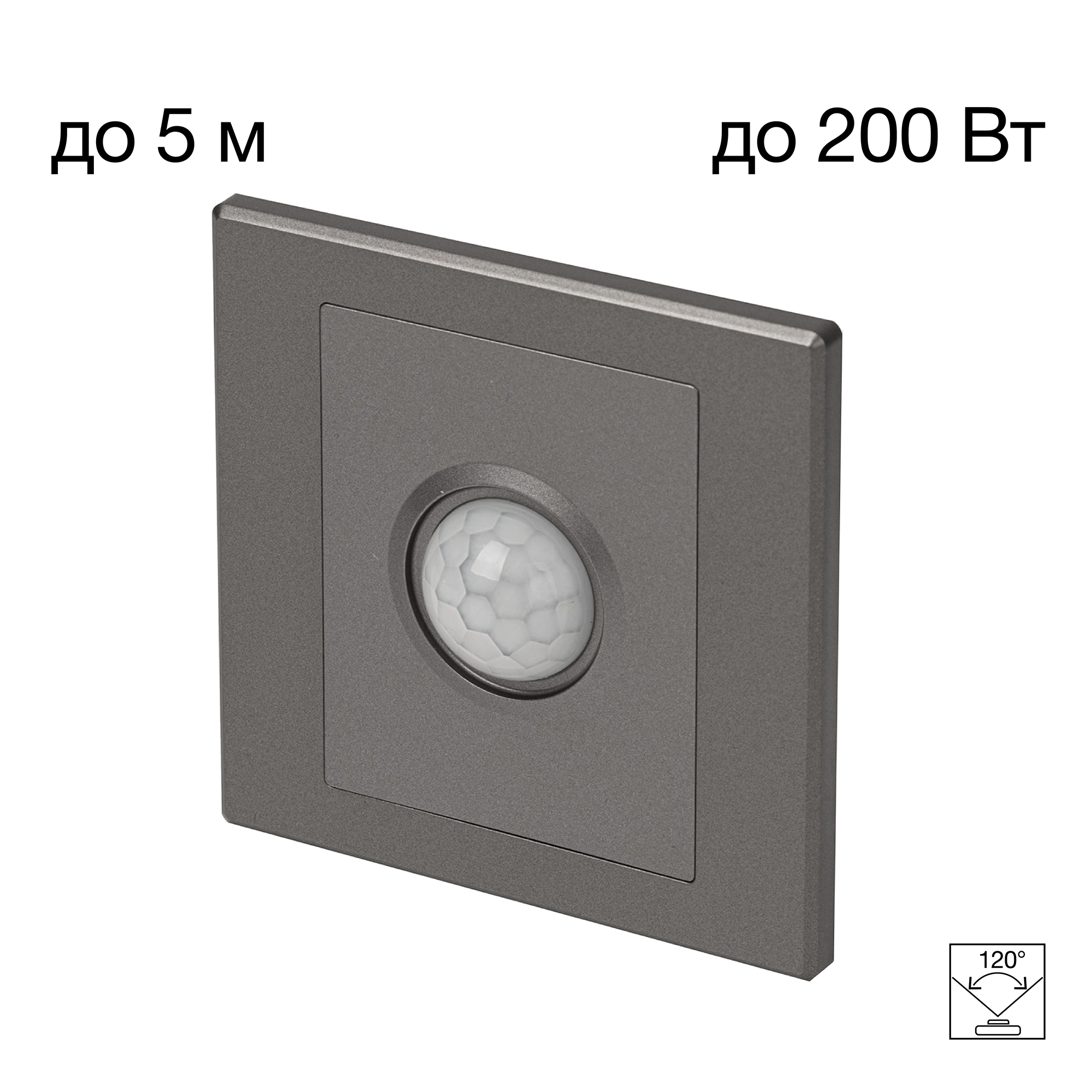 Citilux Скалли CLR005KS1 Встраиваемое реле с датчиком движения Графит арт. 89360