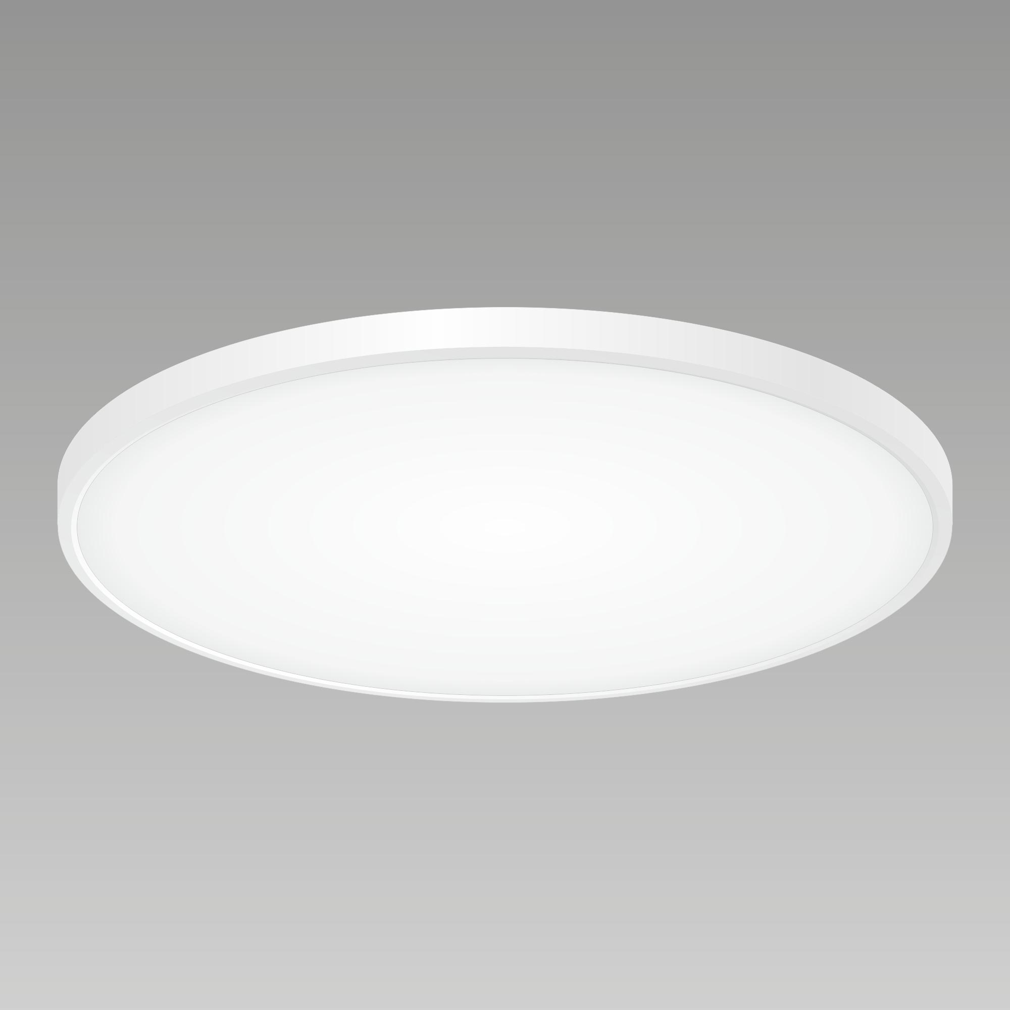 Citilux Бейсик CL738500V Светильник накладной Белый арт. 88462