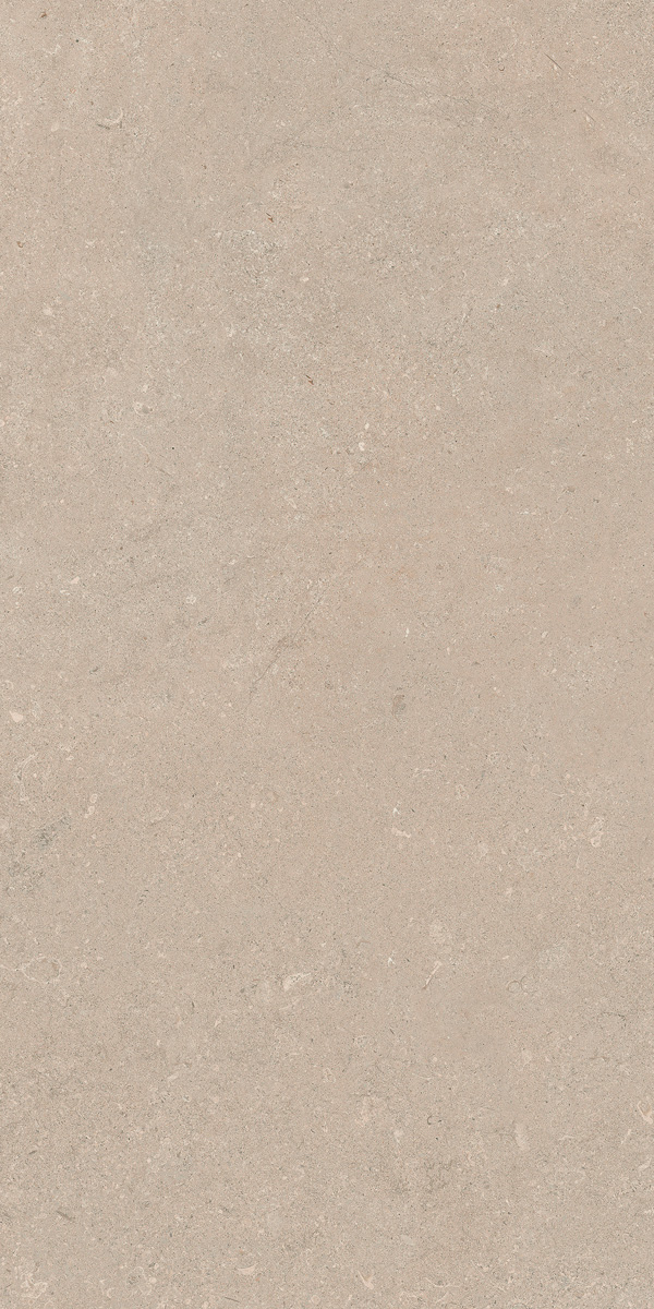 Керамогранит AUTHENTIC LUX ST CHABLIS MATL 60X120 6MM арт. 86001