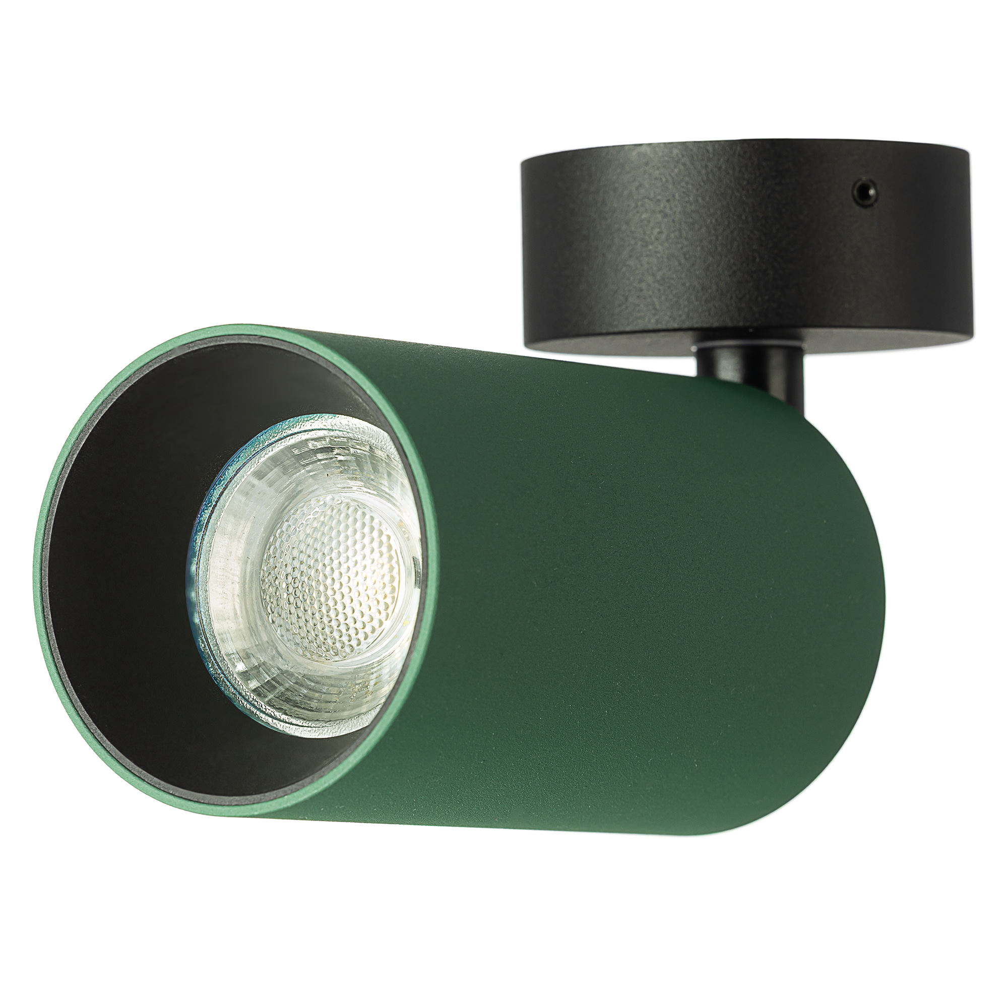 Citilux AXEL CL512215 Накладной поворотный светильник Зелёный арт. 129433