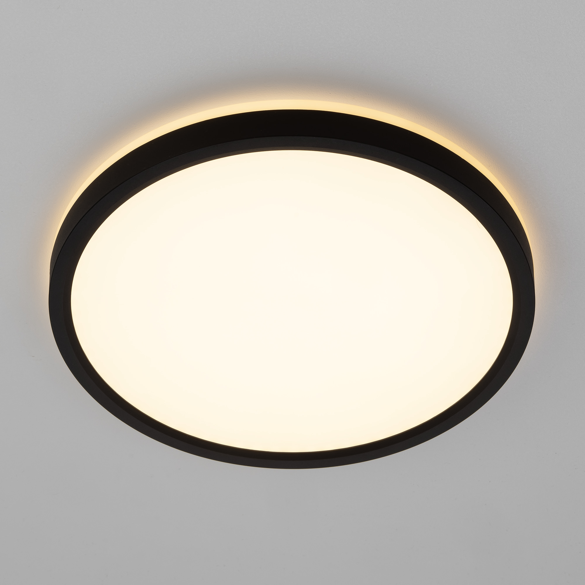 Citilux NORMA CL748241 LED Светильник с подсветкой Чёрный арт. 89304