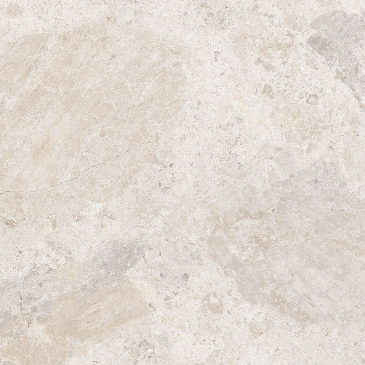 Керамический гранит  ERA BLOOM. IVORY NAT R120X120 арт. 126259