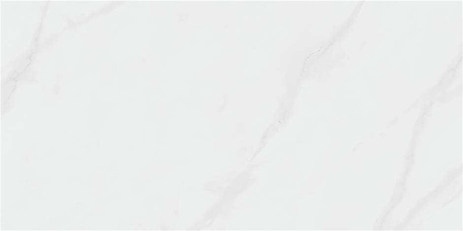 CEDAR WHITE 120X280 PULIDO RECT. (6MM) арт. 58520
