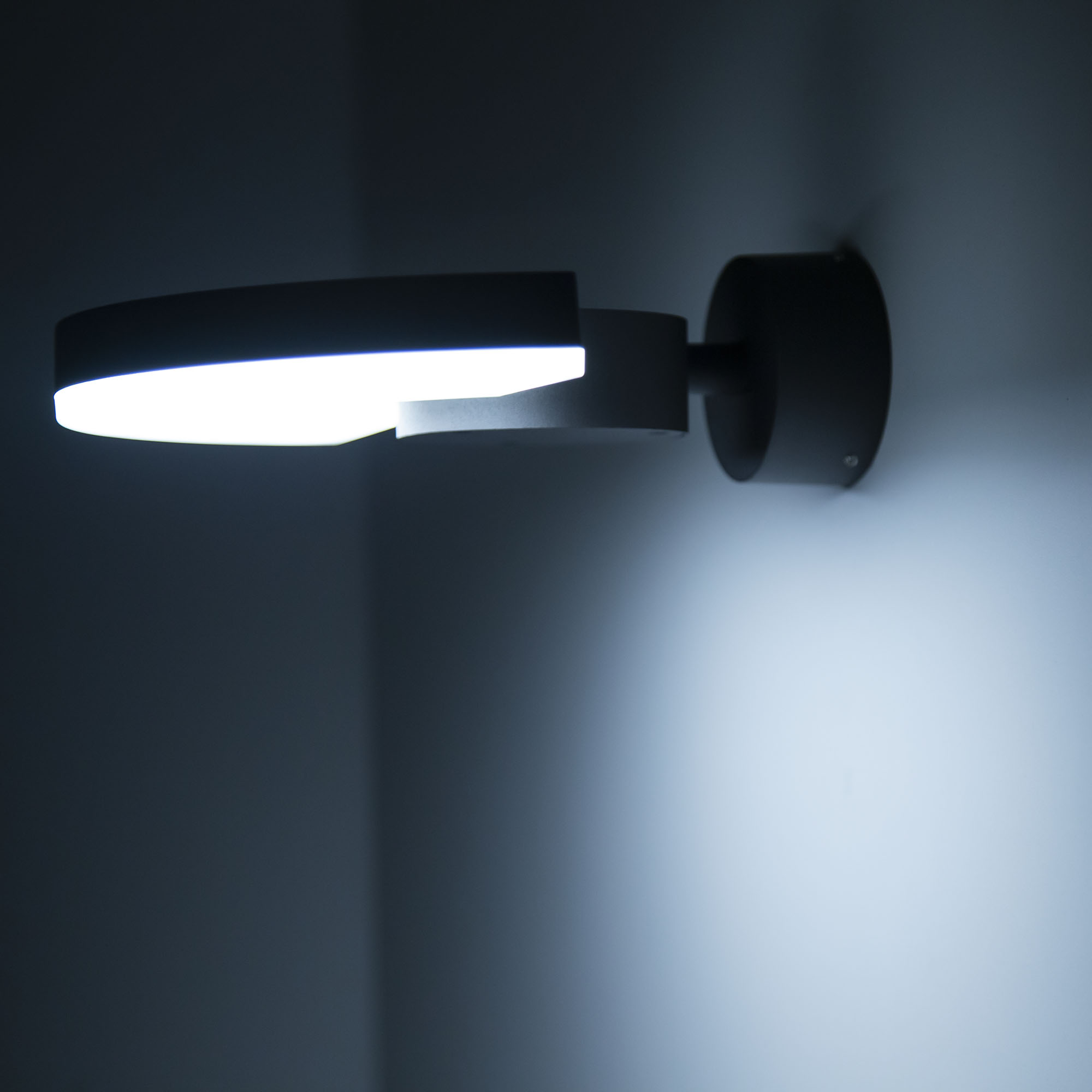 Citilux GARDA CLU03W LED Уличный настенный поворотный светильник Графит арт. 88047